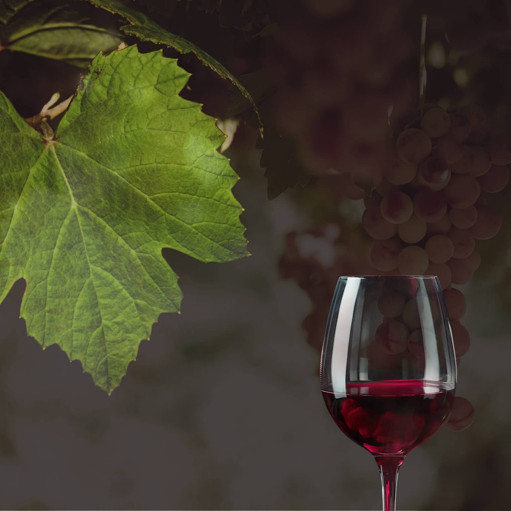 Wine tasting